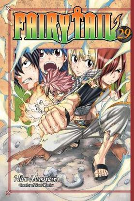 Εικόνα της FAIRY TAIL GN VOL 29 (C: 1-1-1)